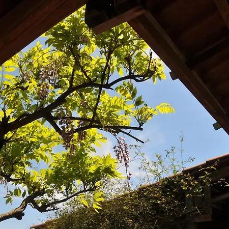 Il Mandorleto Bed & Breakfast