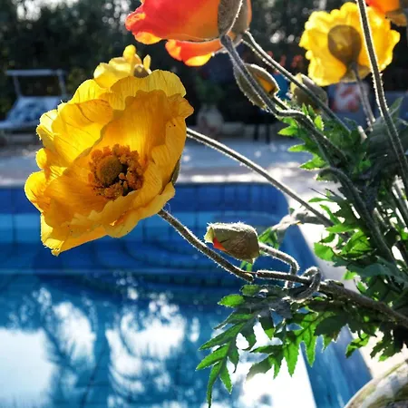 Il Mandorleto Bed & Breakfast Avola